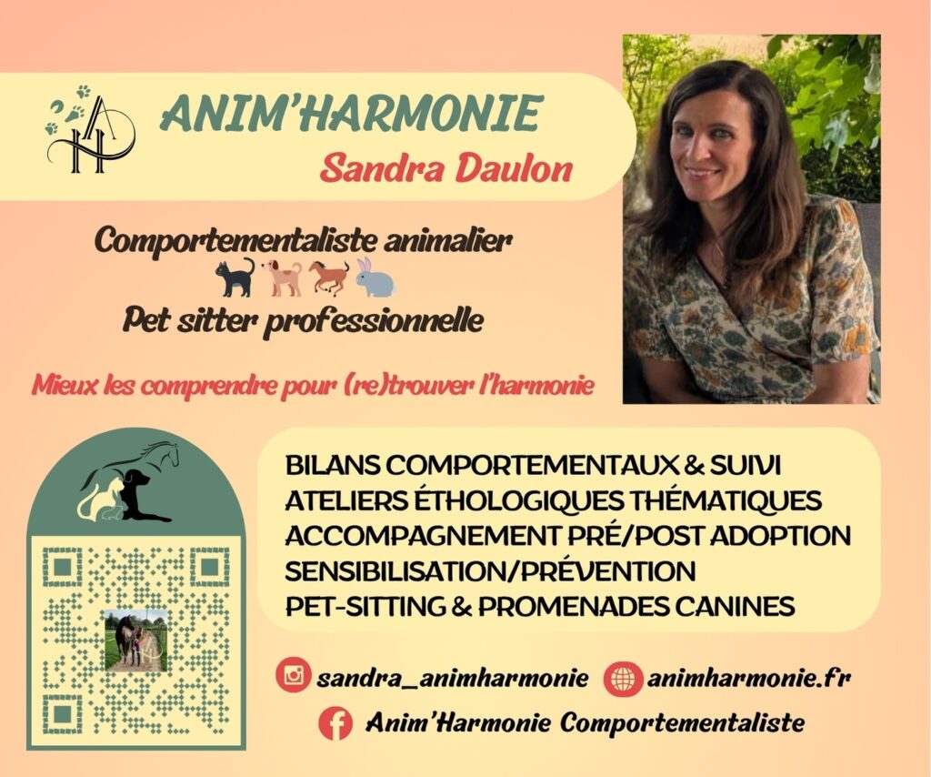 Anim'Harmonie - Sandra Daulon